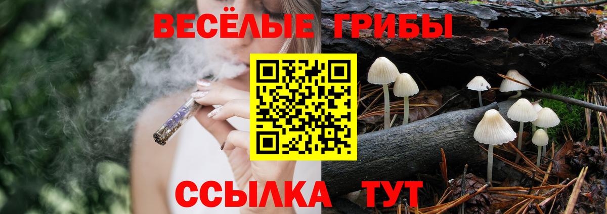 Галлюциногенные грибы ЛСД  Вход с VPN  Железноводск 